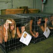 femme nue enfermées dans une cage à chien